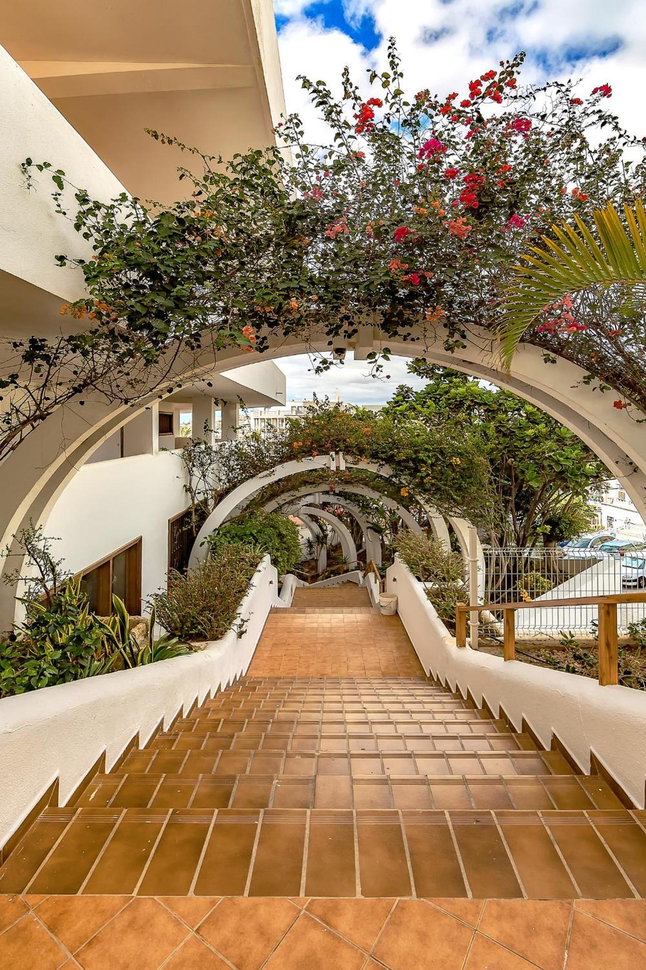 Ocean View Apartments In Park Royal I Costa Adeje  Extérieur photo